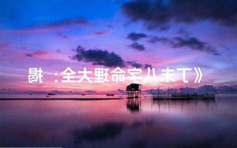 八字 丁未